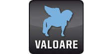 Valoare Operador De Vehiculos