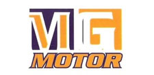 MG Motor Multimarcas
