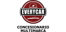 Everycar