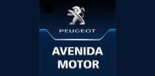 Avenida Motor