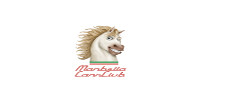 Marbella Cars Club