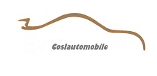 Coslautomobile