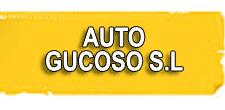 MICROCOCHES GUCOSO