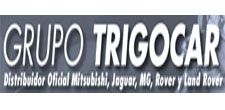 Trigo Car