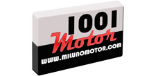 1001 Motor